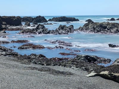 The Lost Coast: Along the Lost Coast