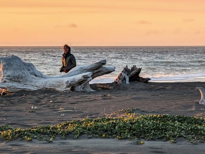 The Lost Coast: Sunset on Mattole Beach