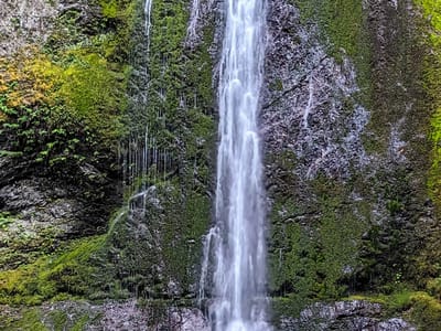 Lake Crescent - Olympic National Park: Marymere Falls