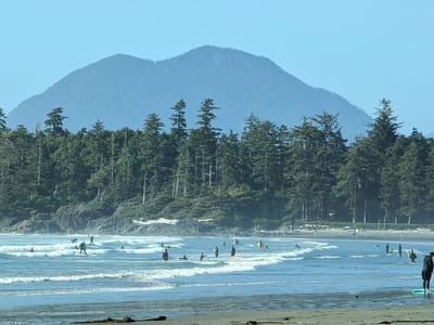 Tofino: Surfers in Cox Bay