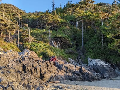 Tofino: Made it down the Cox Bay trail