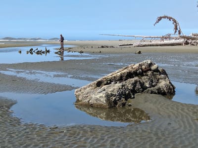Ucluelet: Combers Beach