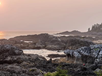 Ucluelet: Lolo scrambling over the sharp rocks to get the shot