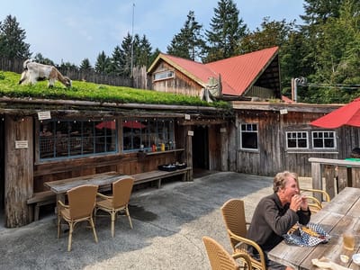 Coombs and Chemainus: Herb and the goat chowing down