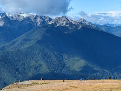 Hurricane Ridge (Olympic National Park): Hurricane Hill Trail