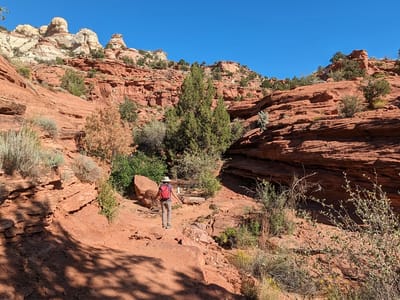 Grand Staircase-Escalante Area: Heading out on the Lower Calf Creek Falls Trail