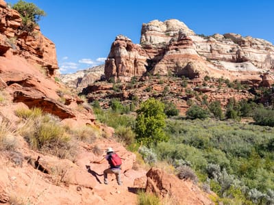 Grand Staircase-Escalante Area: I want my trekking poles!