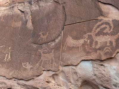 Grand Staircase-Escalante Area: Bighorn Sheep panel