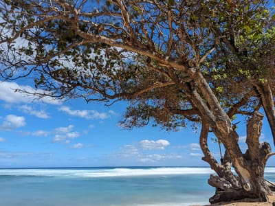 North Shore - The Cliffs at Princeville: Larsen's Beach