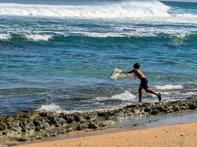 North Shore - The Cliffs at Princeville: Traditional Hawaiian net fishing
