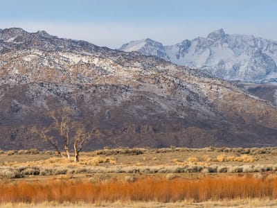 Bishop: Along the Bishop Canal at sunrise