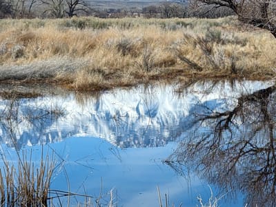Bishop: Stroll along the Bishop Canal