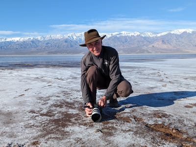 Death Valley National Park: Herb of the Salt Flats