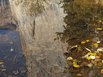 Yosemite Valley: El Cap Reflections