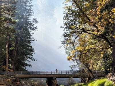 Yosemite Valley: Near El Cap Meadow