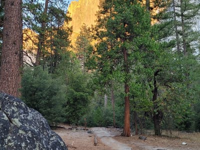 Yosemite Valley: Trail to Mirror Lake