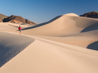 Death Valley National Park: Lolo atop Ibex Dunes