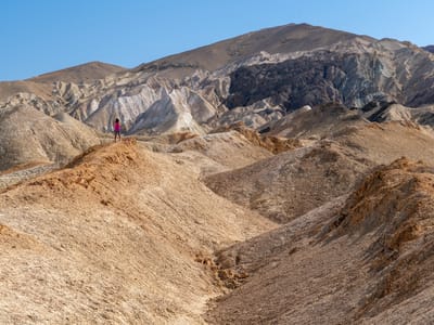 Death Valley National Park: Lolo atop the ridge