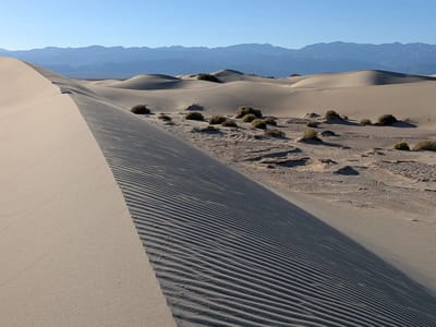 Death Valley National Park: Mesquite Dunes