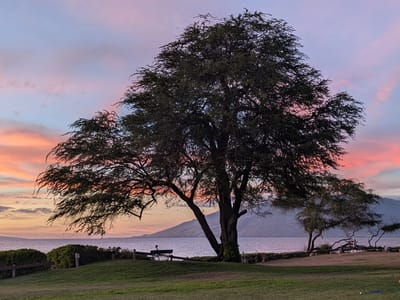 Kihei: Another Hale Kamaole sunset