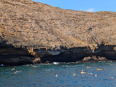 Kihei: Snorkelers by Malokini Crater