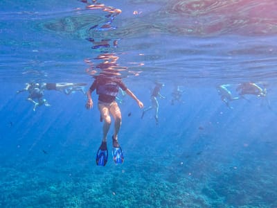 Kihei: Ok, I'm in the water