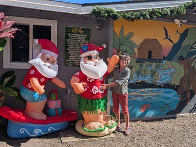 Hana: Christmas at Aunty Sandy's Banana Bread Stand