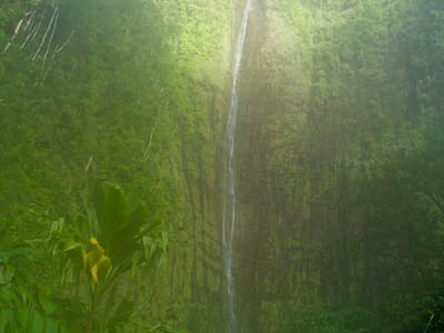 Hana: Waimoku Falls