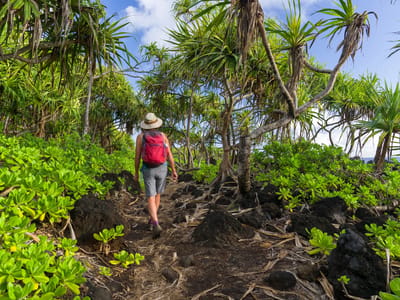 Hana: Waianapanapa Park - Kipapa O Kihapiilani Trail