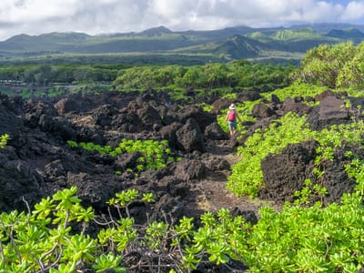 Hana: Lava and Napuaka Plants