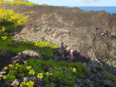 Hana: Along the Kipapa O Kihapiilani Trail