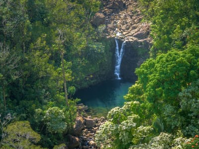 Hana: Upper Puohokamoa Waterfall.