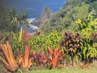 Hana: Keopuka Rock Overlook