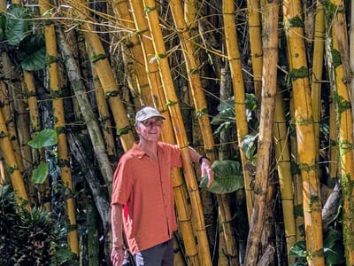 Hana: Bamboo hugger