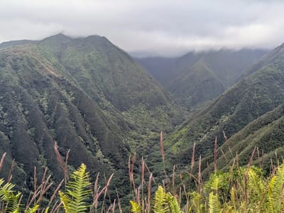 Wailea: Waihee Canyon