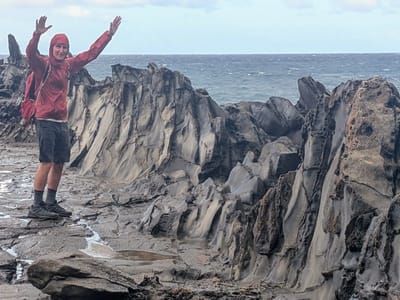 Wailea: Herb being reshaped by the wind
