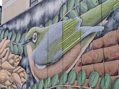 Christchurch: Christchurch Street Art