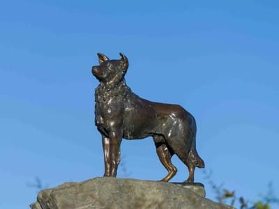 Lake Tekapo: The Sheep Dog Memorial