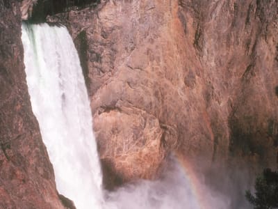 Yellowstone National Park: Lower Yellowstone Falls