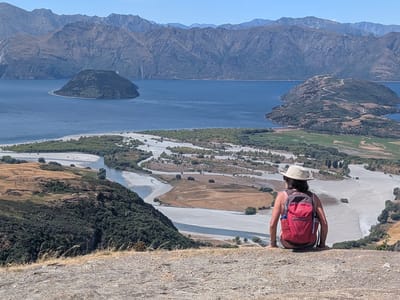 Wanaka: From the summit