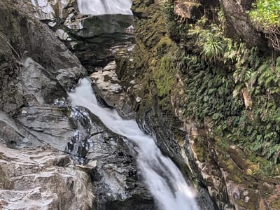 Milford Sound: Christie Falls
