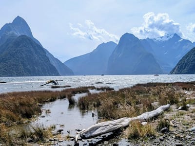 Milford Sound: Milford Sound from Foreshore Trail