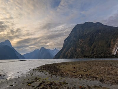 Milford Sound: Milford Sound from Foreshore Trail