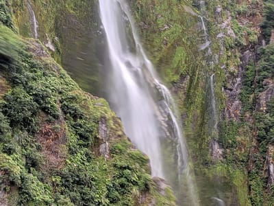 Milford Sound: Stirling Falls
