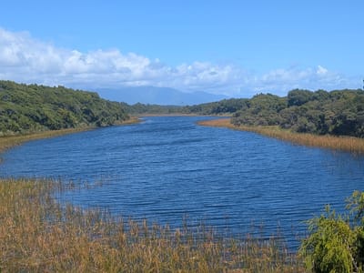 Fox Glacier: Dune Lake