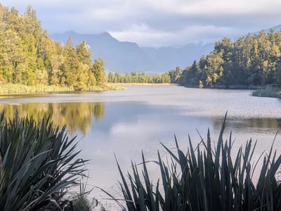 Fox Glacier: Lake Matheson sans reflections