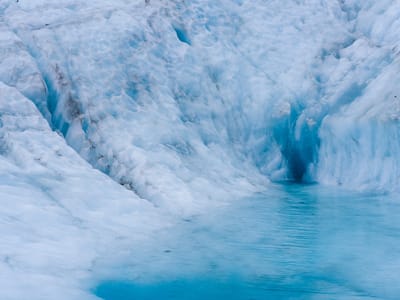 Fox Glacier: Glacial Pool
