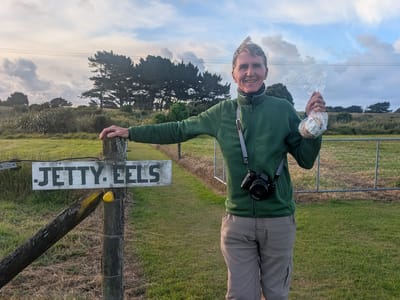 Hokitika: Off to feed the eels