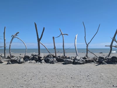 Hokitika: Hokitika driftwood welcome