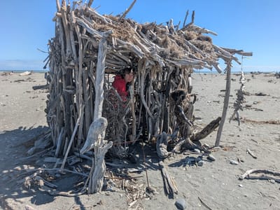 Hokitika: Hokitika Driftwood Art